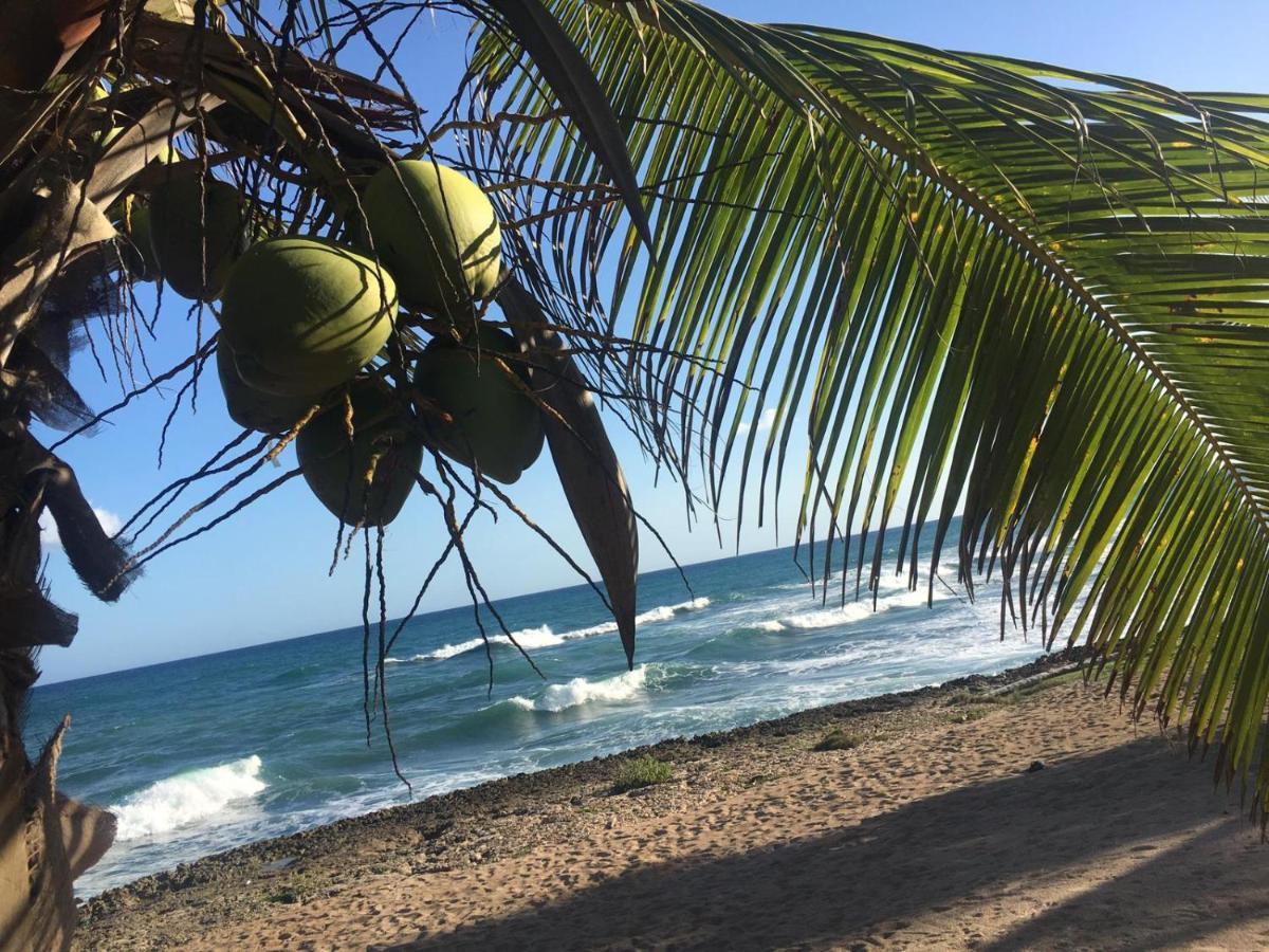 Modern, Welcoming Studio, Ocean View In Juan Dolio Exterior photo